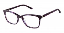 Bertelli B-1000