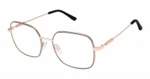 Bertelli B-1001