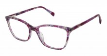 Bertelli B-1004