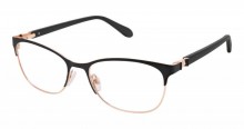 Bertelli B-1006