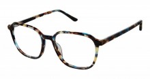 Bertelli B-992