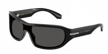 Dolce and Gabbana DG4486