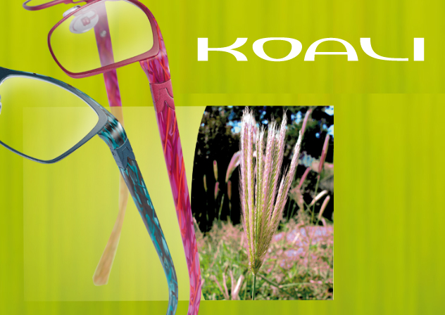 Koali glasses ad