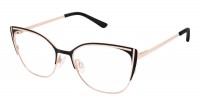 Bertelli B-1008
