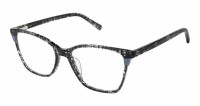Bertelli B-1009
