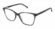 Bertelli B-1009