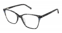 Bertelli B-1009