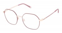 Bertelli B-1021