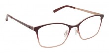 Bertelli B-943