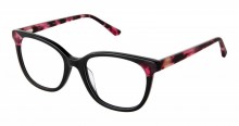 Bertelli B-985