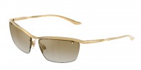 Dolce and Gabbana DG2307