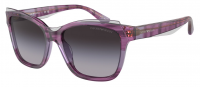 Emporio Armani EA4209