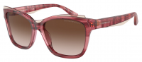 Emporio Armani EA4209