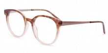 Marius Morel 50134M